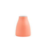 Intorno Creamer 100ml - Promosmart Australia